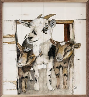 Three Amigos By Jodi Hatfield